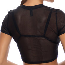 SHEER INTENTIONS - Crop Top